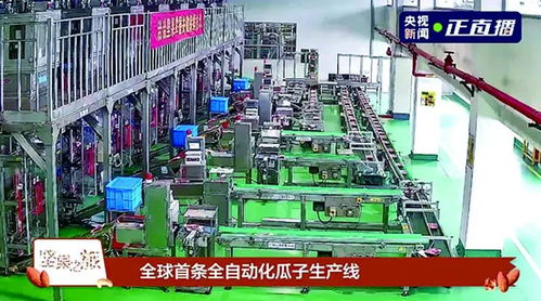 洽洽食品榮膺新華社民族品牌工程，引領民族品牌新篇章